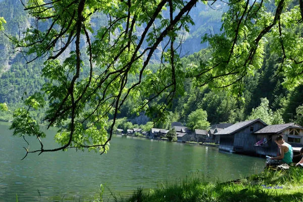 Con đường lên núi muối với những ngôi nhà xinh xắn ngập tràn hoa. Ảnh: Thiên Lam.