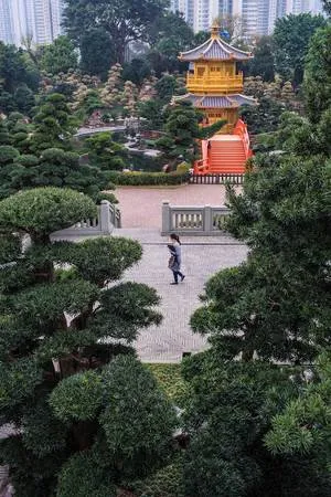 Con đường Nathan rực rỡ ánh đèn về đêm tại Tsim Sha Tsui, Hong Kong. Alt: Đường Nathan về đêm