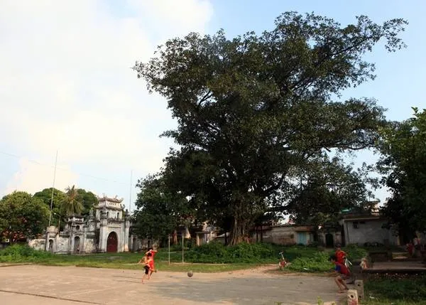 Cổng chùa Bối Khê nhìn từ bãi đất rộng phía trước