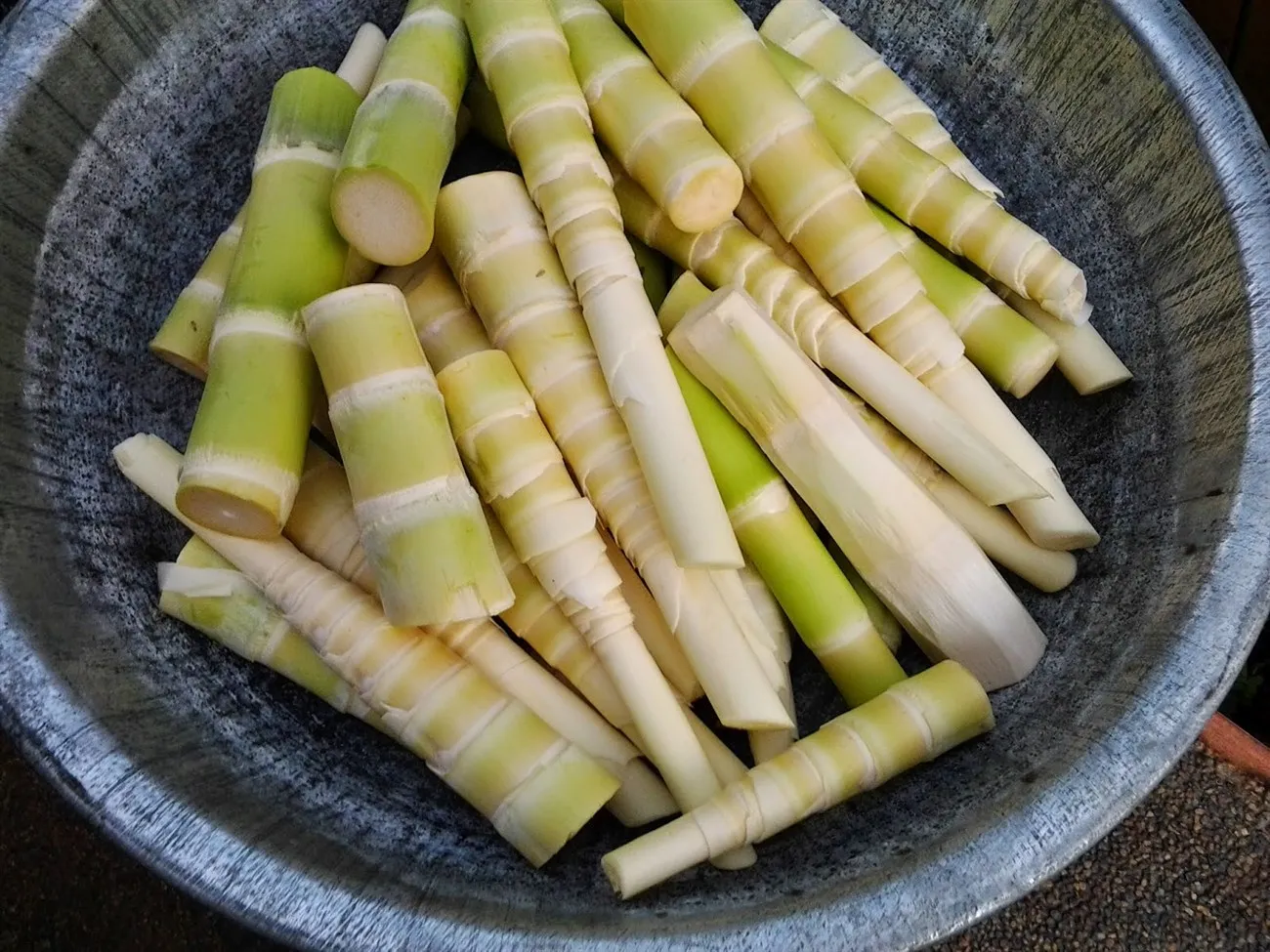 Củ măng tươi - nguyên liệu chính làm măng chua