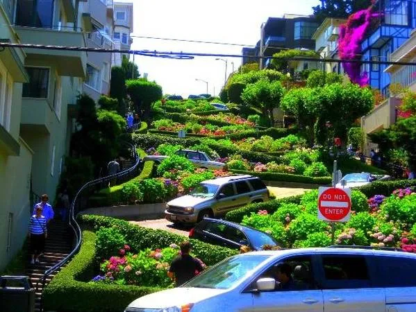 Cung đường Lombard Street rực rỡ sắc hoa.