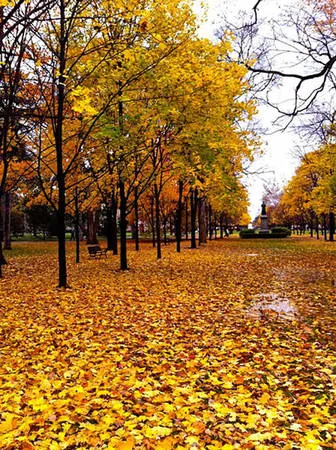 Đại học Notre Dame vào mùa thu lãng mạn.