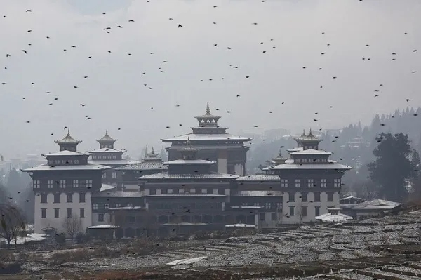 Đàn chim di trú bay qua bầu trời Bhutan tạo nên khung cảnh huyền bí.