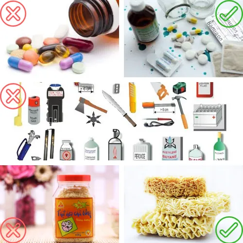 Danh sách các vật dụng được phép và không được phép mang vào Nhật Bản. Ảnh: Tugo.