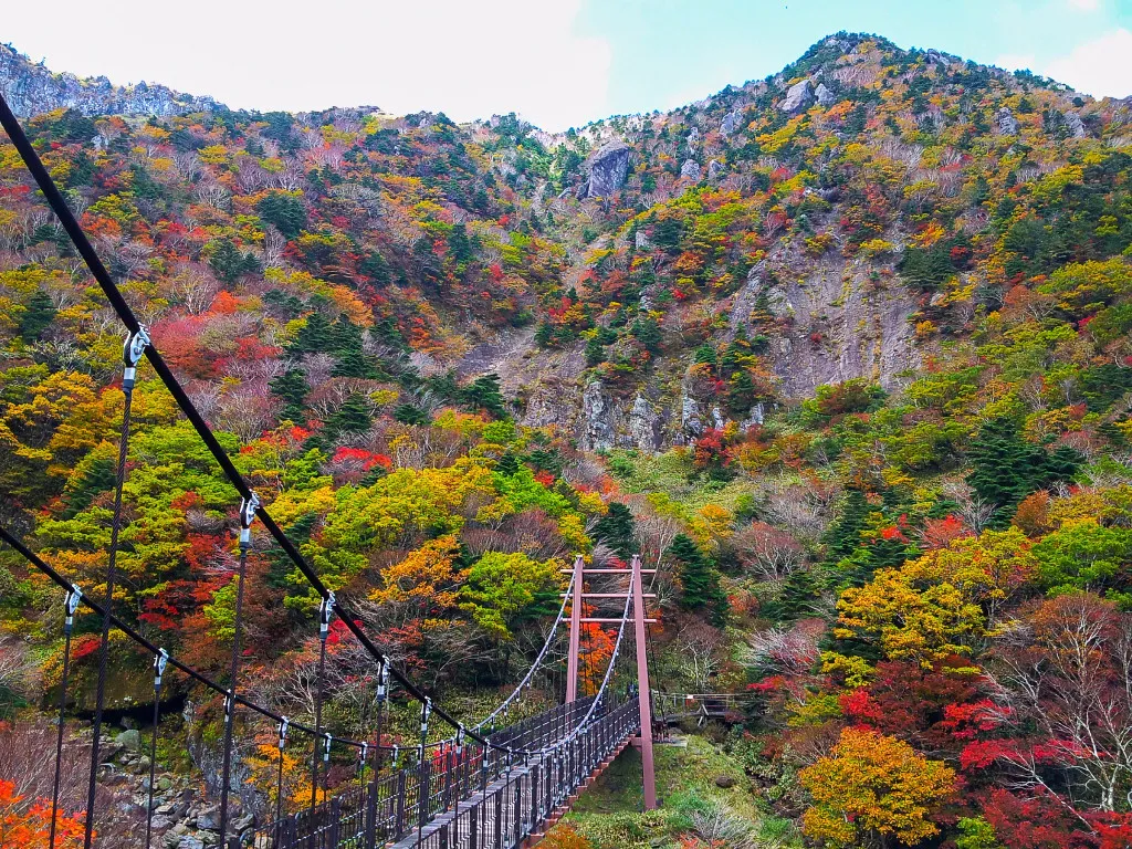 Đảo Jeju mùa thu