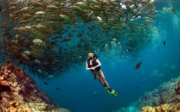 Đảo Sipadan - Điểm Lặn Tuyệt Vời