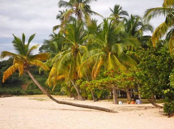 Đất đỏ Madagascar