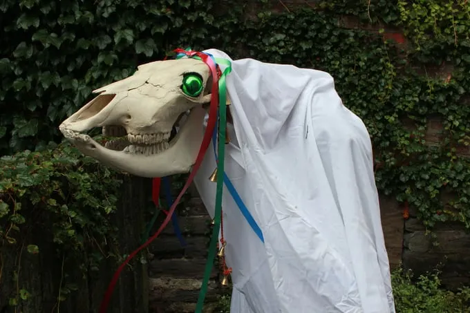 Diễu hành đầu lâu ngựa Mari Lwyd ở xứ Wales. Nguồn ảnh: Wiki.