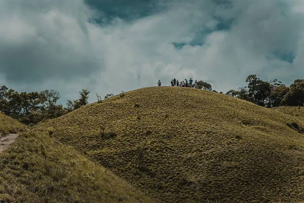 Đoạn đường trekking ban đầu với rừng thông xanh rì, tạo nên khung cảnh thơ mộng cho hành trình.