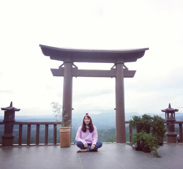 Đồi chè Tâm Châu - Bảo Lộc. Ảnh: @hoang_huynh_linh