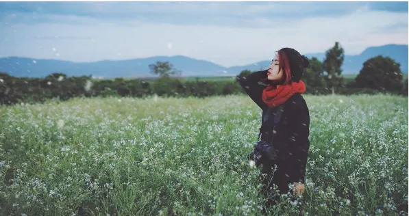Đồi chè xanh mướt Đà Lạt. Ảnh: @lalavu.photography