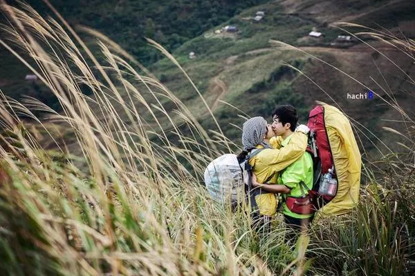 Đồi cỏ lau bạt ngàn trên đường trekking Lùng Cúng