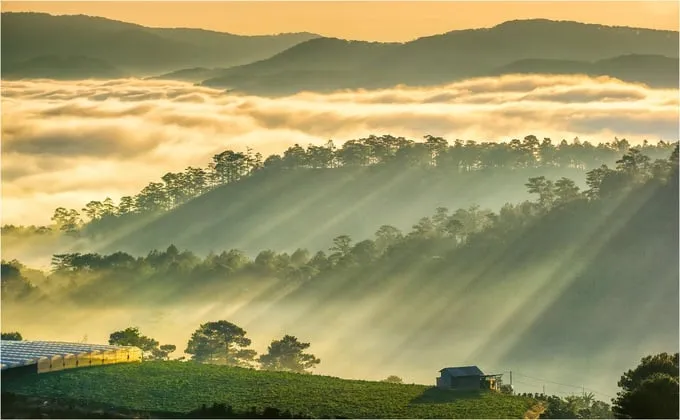 Đồi Túy Sơn Đà Lạt