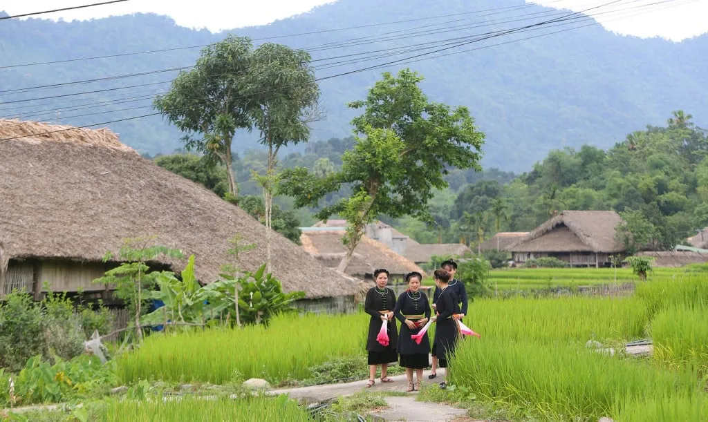 Đồng bào Tày thường sống ở vùng thấp