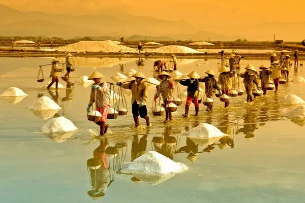 Đồng muối Sa Huỳnh. Ảnh: ST