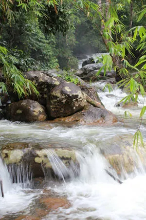 Dòng nước cuồn cuộn chảy xiết