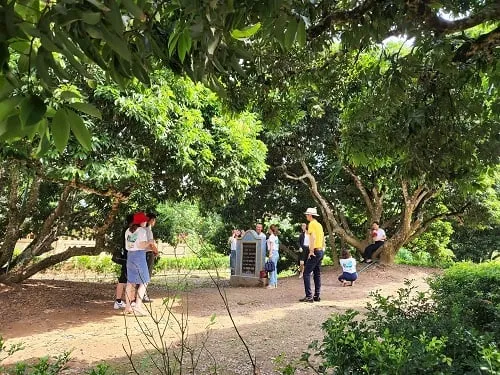Du khách chụp ảnh lưu niệm bên cây vải tổ. Ảnh: langngheviet.com.vn