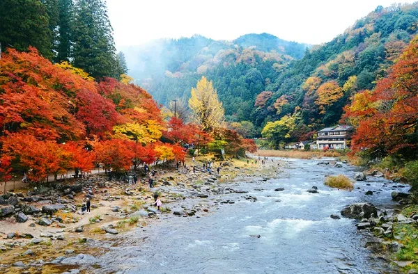 Du khách có thể đến Korankei bằng tàu điện ngầm và xe buýt từ sân bay Nagoya
