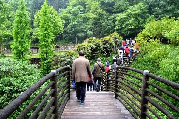 Du khách đang ôm một chú gấu trúc tại trung tâm bảo tồn gấu trúc ở Thành Đô, Trung Quốc