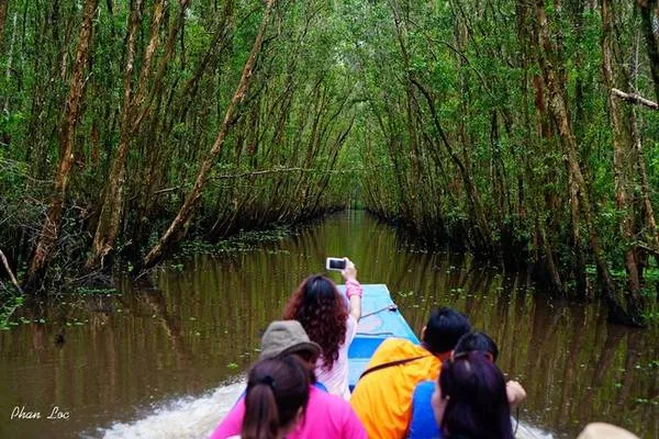 Du khách di chuyển bằng xuồng máy vào sâu trong rừng tràm Trà Sư.