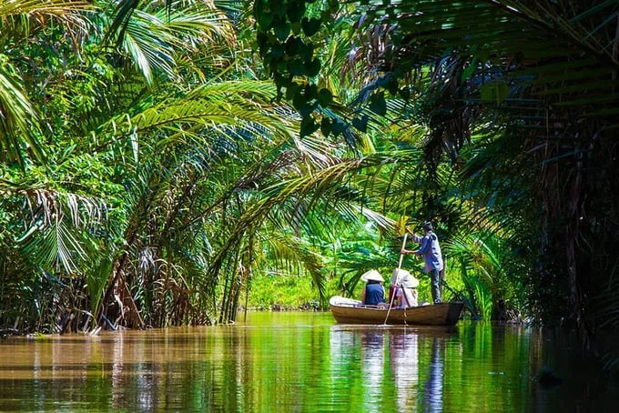 Du khách nước ngoài thích thú trải nghiệm ngồi ghe trên sông nước miền Tây. Alt: Hình ảnh du khách nước ngoài đang ngồi trên chiếc ghe nhỏ, len lỏi qua những con rạch miền Tây, xung quanh là cây cối xanh tươi.