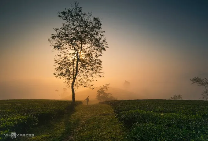 Du khách tham quan và chụp ảnh tại đồi chè Long Cốc. Nơi đây nổi tiếng với cảnh quan thiên nhiên tuyệt đẹp và không khí trong lành.