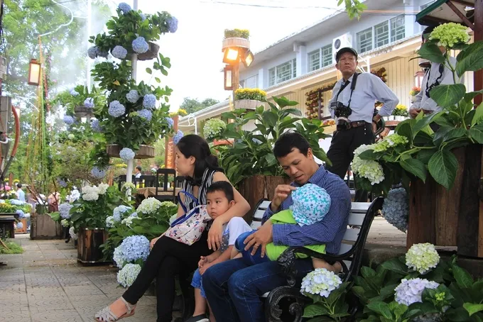 Du khách tham quan và chụp ảnh tại vườn hoa