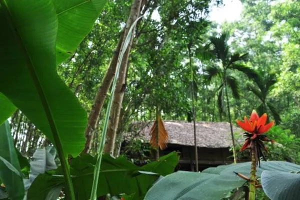 Du khách thưởng thức bữa ăn tại nhà hàng trong làng Thái Hải.