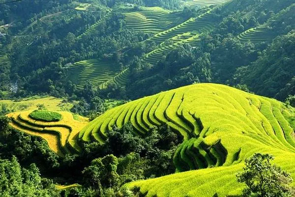 Du lịch Sapa
