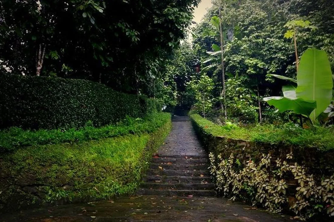 Đường làng Tiên Phước đẹp như tranh vẽ