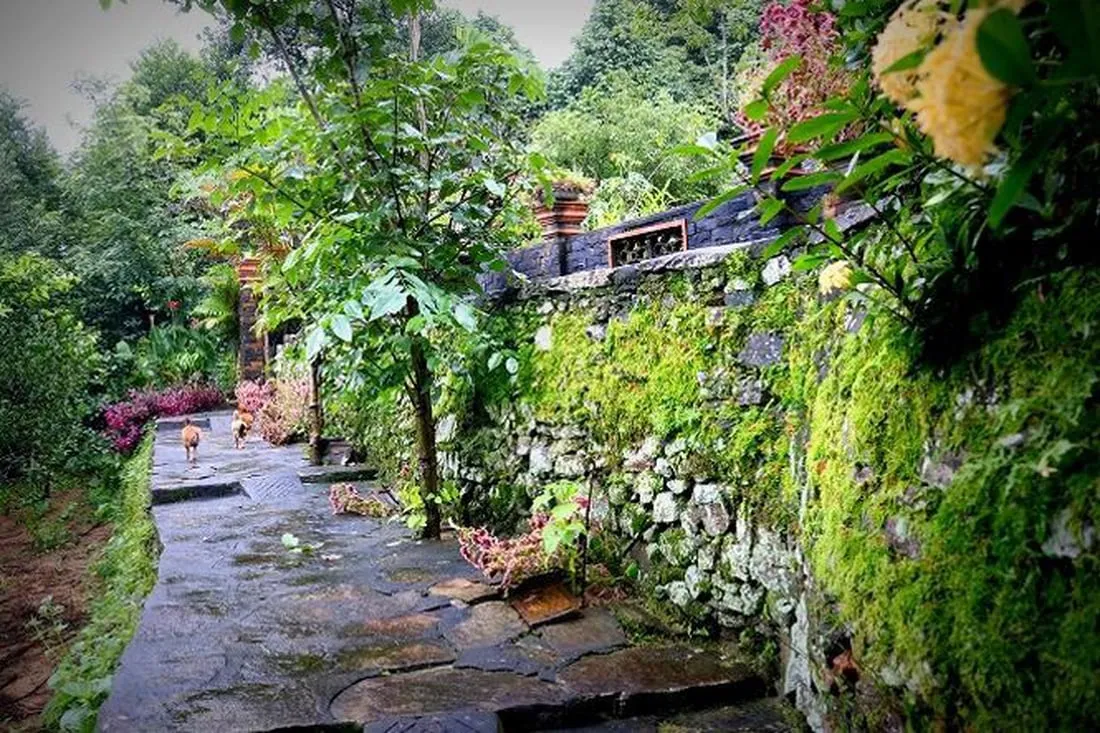 Đường làng Tiên Phước thơ mộng