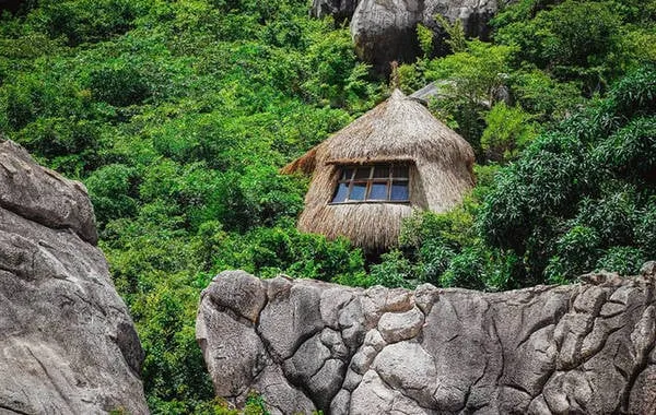 Giá thuê lều tổ chim và dịch vụ đi kèm