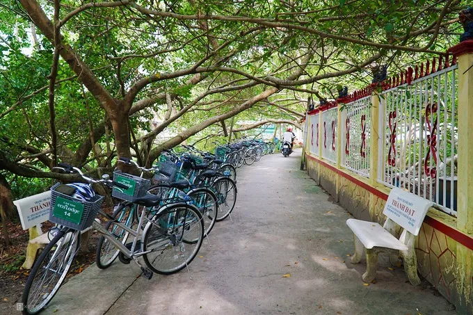 Giàn gừa mọc um tùm che mát lối vào khu di tích.