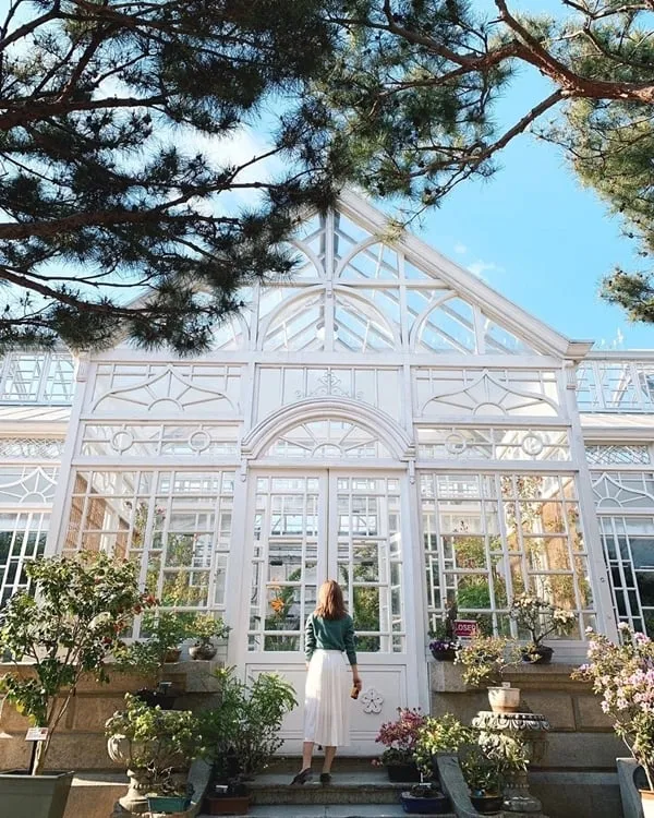Grand Greenhouse - Điểm check-in lý tưởng tại Seoul. Ảnh: pjhaileyy