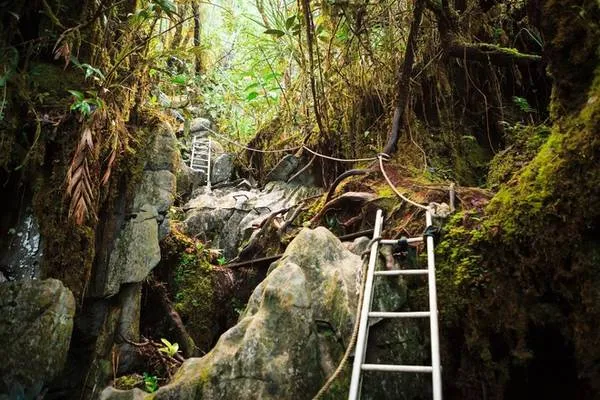 Gunung Mulu: Hệ thống hang động đồ sộ với những thạch nhũ kỳ ảo, tạo nên một vẻ đẹp huyền bí và lôi cuốn du khách.