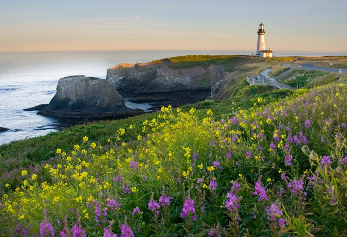 Hải đăng Yaquina Head Light, Oregon, Mỹ