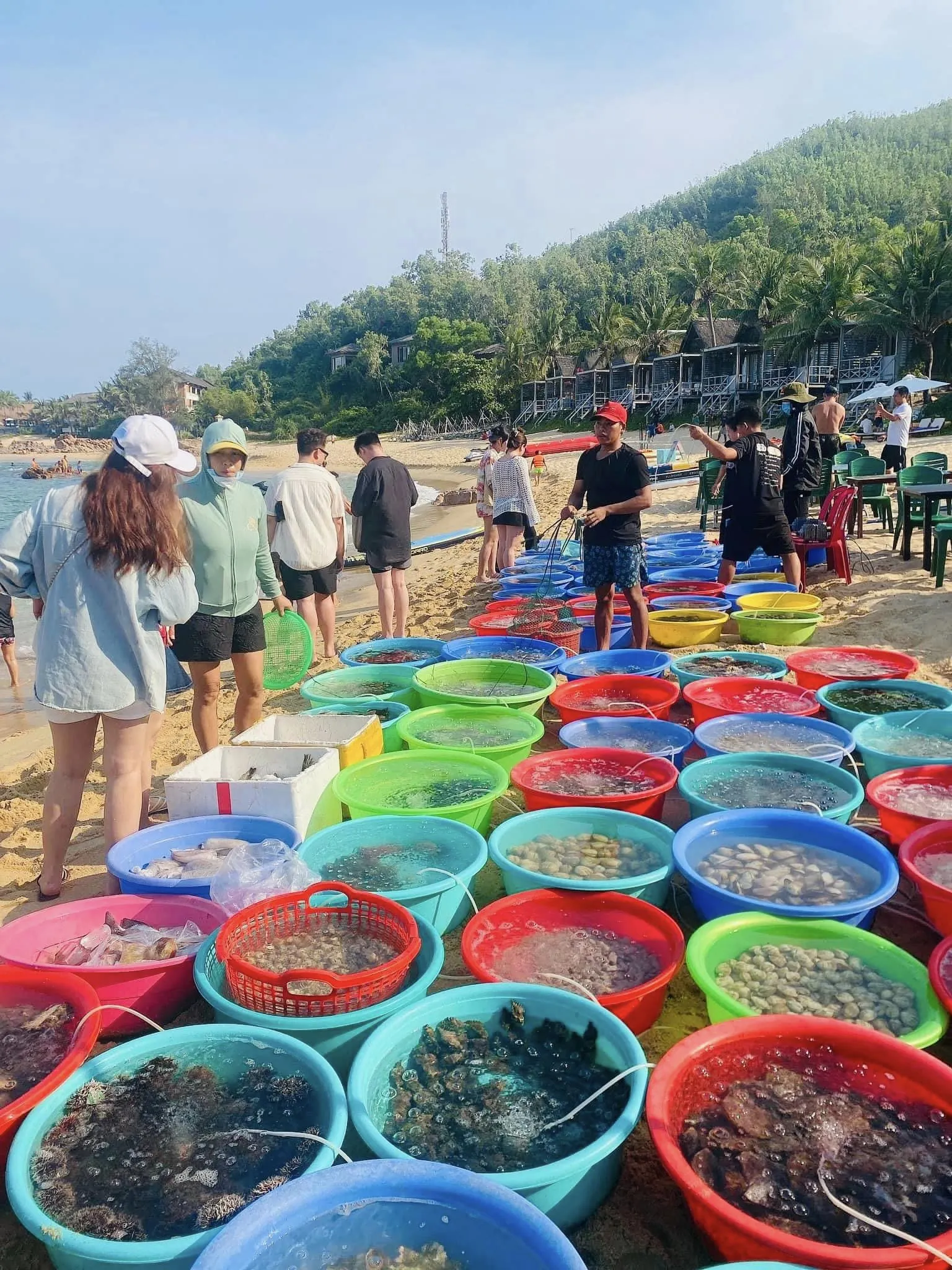 Hải sản tươi ngon