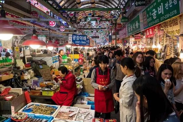 Hải sản tươi sống được bày bán tại chợ Gwangjang.