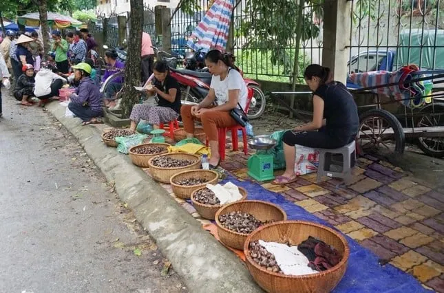 Hạt dẻ Trùng Khánh được bày bán