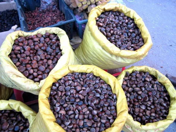 Hạt dẻ Trùng Khánh thu hoạch vào dịp cuối thu đầu đông – Ảnh: N.T.Lượng