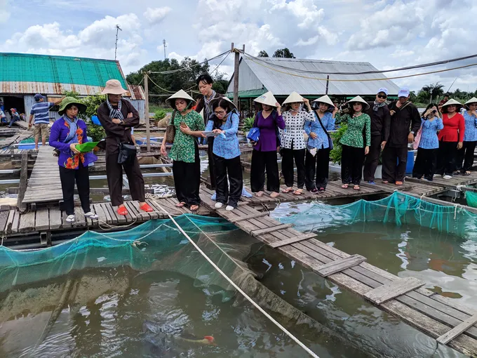 Hiện bè của ông Bon nuôi hàng chục loại cá đặc sản nước ngọt.