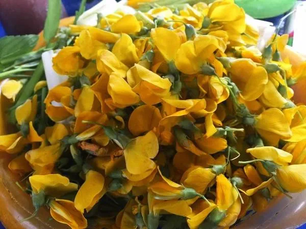 Hình ảnh bông điên điển và cá linh tươi ngon, nguyên liệu chính của món lẩu cá linh bông điên điển.