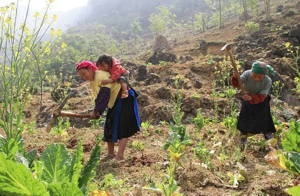 Hình ảnh các công cụ canh tác truyền thống của người dân tộc