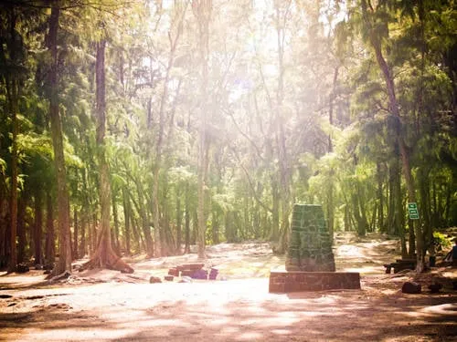 Hình ảnh con đường mòn trong công viên MacKenzie State. Ảnh: Huffingtonpost.