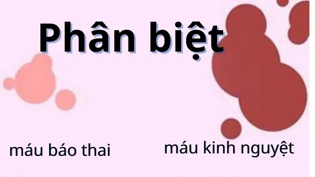 Hình ảnh minh họa về que thử thai và người phụ nữ đang mang thai