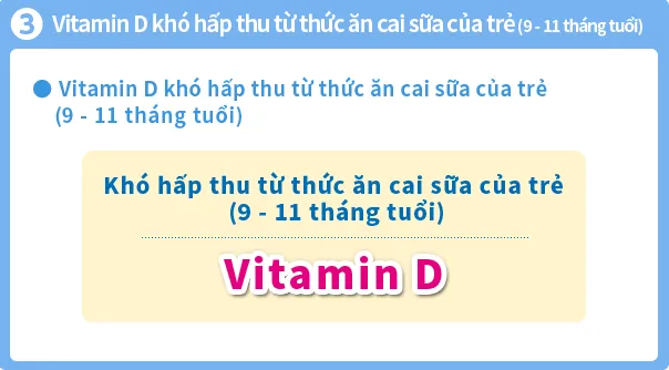 Hình ảnh minh họa về tác dụng của Vitamin D