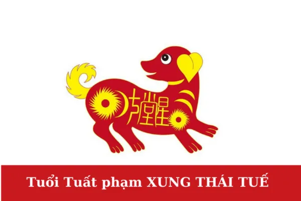 Hình ảnh minh họa về tuổi Thìn gặp Trị Thái Tuế