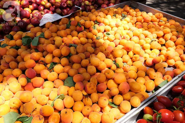 Hình ảnh mơ chín vàng tại chợ nông sản Ý