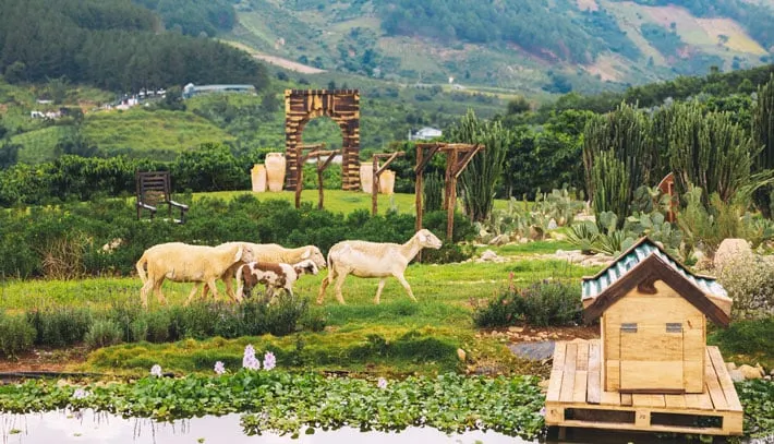 Hình ảnh tổng quan về Đà Lạt