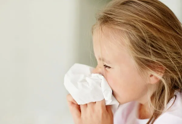 Hình ảnh về các tác nhân gây dị ứng như bụi, phấn hoa, lông động vật